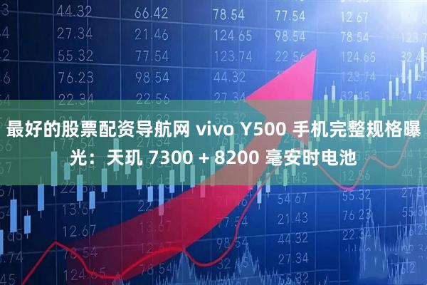最好的股票配资导航网 vivo Y500 手机完整规格曝光：天玑 7300 + 8200 毫安时电池