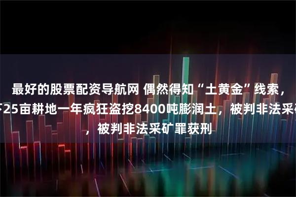 最好的股票配资导航网 偶然得知“土黄金”线索，男子租下25亩耕地一年疯狂盗挖8400吨膨润土，被判非法采矿罪获刑