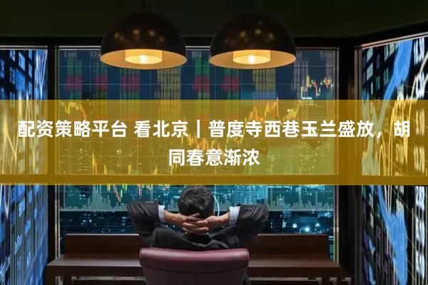 配资策略平台 看北京｜普度寺西巷玉兰盛放，胡同春意渐浓
